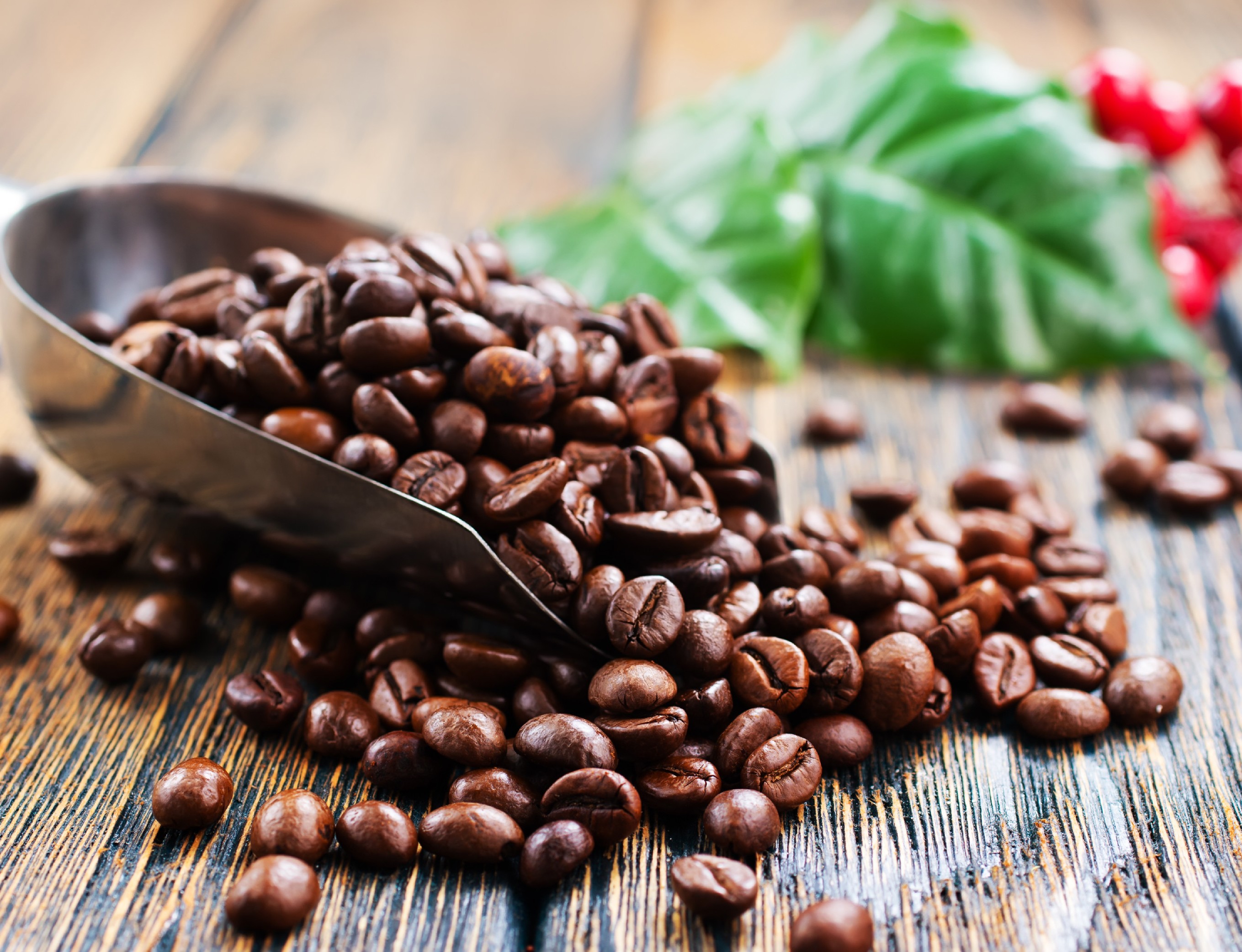 Offentlige foredrag i naturvidenskab: Kaffe