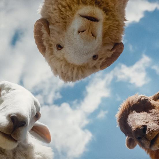 De fårede hovedpersoner fra filmen Fårbrydelsen.