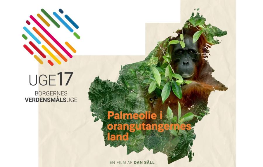 Billede af en orangutang på plakaten til filmen palmeolie i orangutangernes land